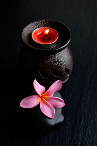 Close-up of red flower against black background