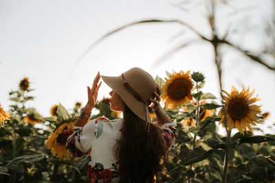 Close-up of sunflower against sky