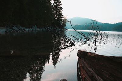 Reflection of trees in lake against sky