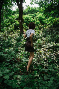 Rear view of woman in forest