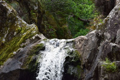 View of waterfall in forest