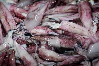 Full frame shot of fish for sale in market