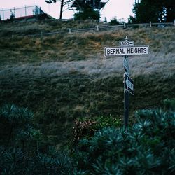 Low angle view of road signs amidst plants