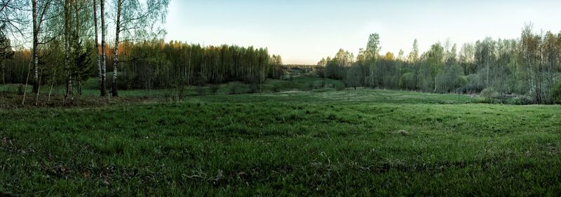 Trees on field against sky