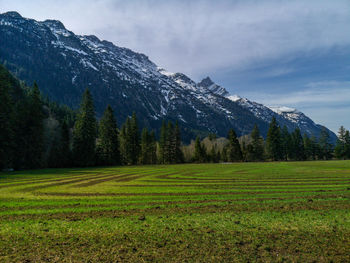 Scenic view of field and mountains against sky