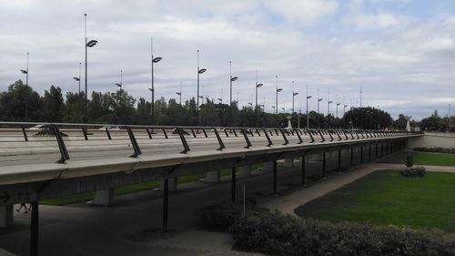 Row of trees against sky