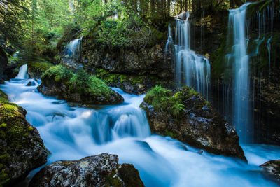 View of waterfall in forest