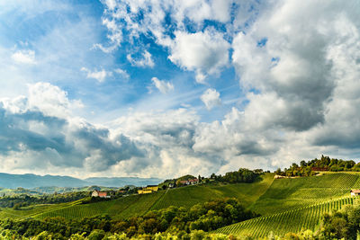 Panoramic view of agricultural field against sky