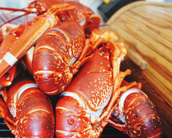 High angle view of seafood at market stall