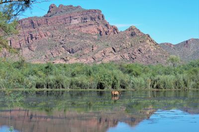 Scenic view of lake and mountains