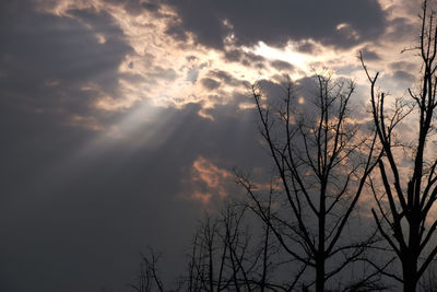 Low angle view of silhouette bare tree against sky