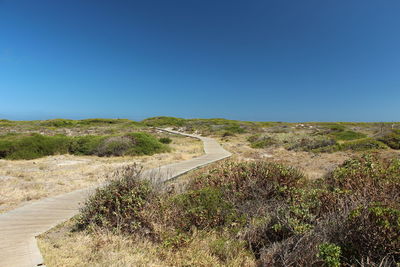 Scenic view of landscape against clear blue sky