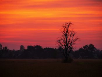Silhouette trees on field against romantic sky at sunset