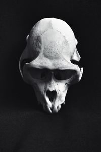 Close-up of human hand against black background