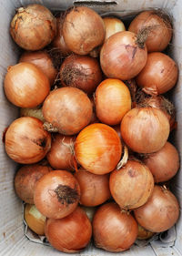 High angle view of onions in box