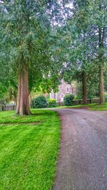 Footpath in park