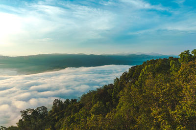 Scenic view of tree and mountains against sky