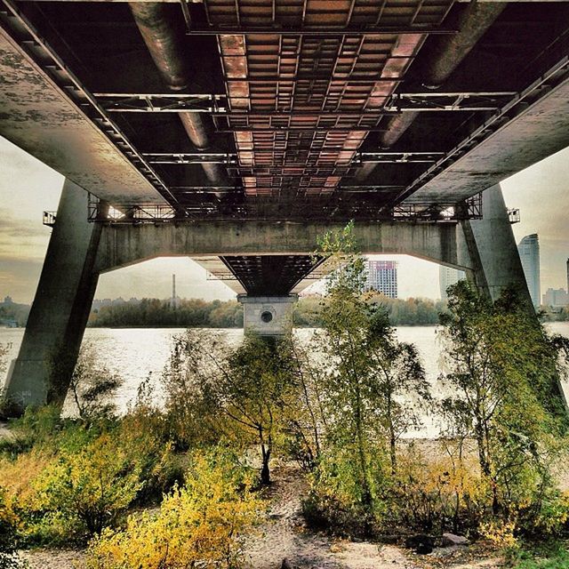 architecture, built structure, connection, bridge - man made structure, engineering, water, tree, river, building exterior, bridge, transportation, architectural column, reflection, sky, no people, day, outdoors, city, low angle view, below