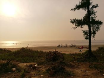 Scenic view of beach at sunset