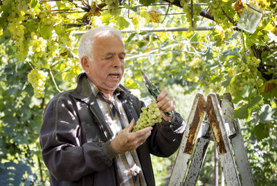 Full length of man holding umbrella standing against trees