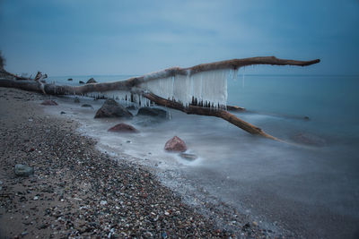 Driftwood on beach against sky