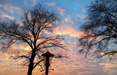 Silhouette tree against sky during sunset
