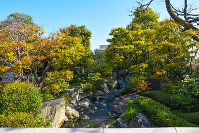 Plants growing by river against sky during autumn