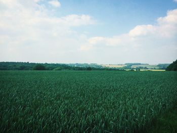 Scenic view of field against cloudy sky