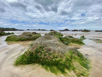 Scenic view of beach against sky