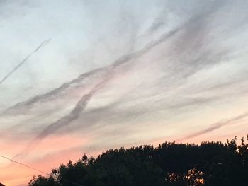 Low angle view of silhouette trees against sky