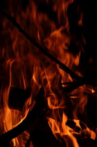 Close-up of bonfire at night