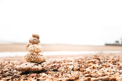 Close-up of pebbles on beach against clear sky