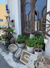 Potted plants outside building