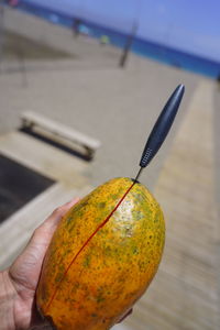 Close-up of hand holding orange leaf