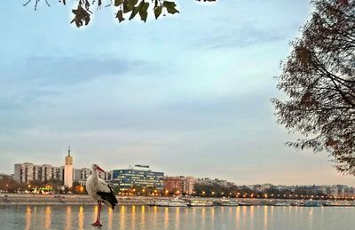 River with buildings in background