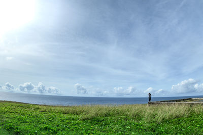 Rear view of man standing on field by sea against sky