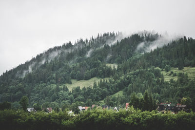 Scenic view of trees and mountains against sky