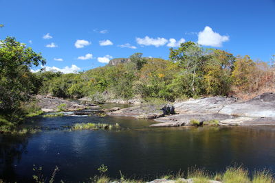 Scenic view of river by trees against sky