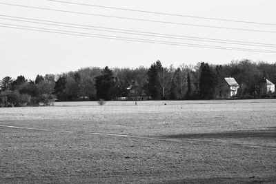 View of trees on landscape