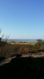 Scenic view of sea against clear sky