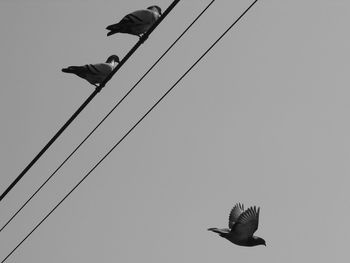 Low angle view of cables against sky