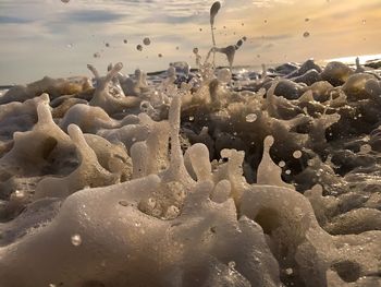 Panoramic view of beach