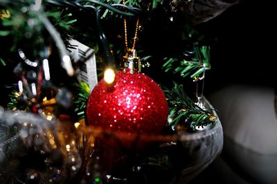 Close-up of christmas decorations hanging on tree