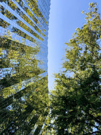Low angle view of trees against sky