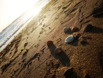 Close-up of sand on beach