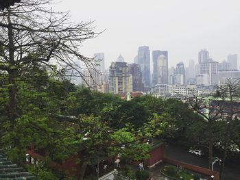 Trees and cityscape against sky