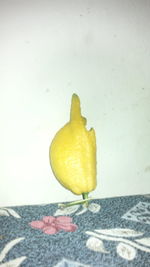 High angle view of yellow fruit on wall