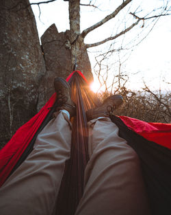 Low section of man relaxing in hammock at forest