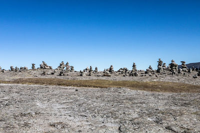 Scenic view of field against clear blue sky