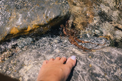 High angle view of hand on rock in sea